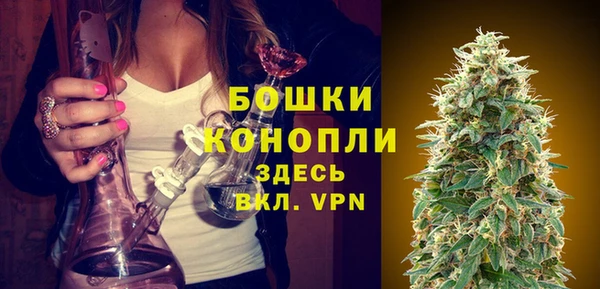 гидра Козельск