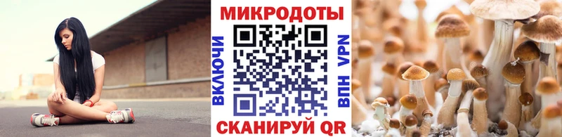Псилоцибиновые грибы мицелий  Купить закладки  Свободный 